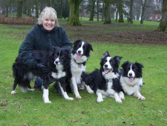 Left to right is Leema, Carole, Inki, Keni and Ghyll (Leema and Ghyll are 2 of Angie Jude's dogs)